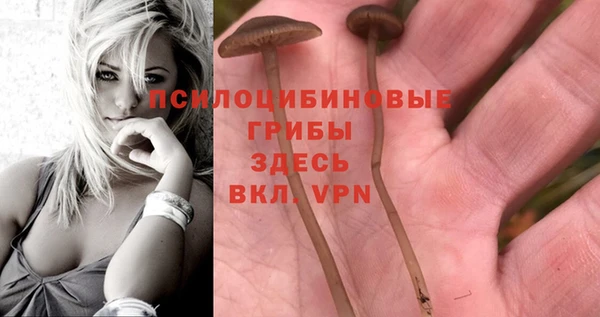 каннабис Магас