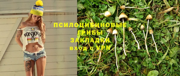 молекула духа Алексин